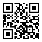 手机扫描二维码下载大掌门2